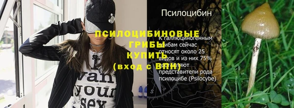 MDMA Premium VHQ Каменка