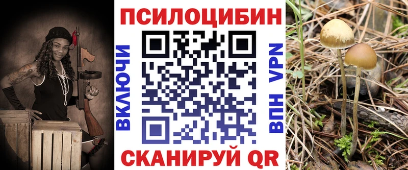 Псилоцибиновые грибы Psilocybine cubensis  Купить  Жуковка 